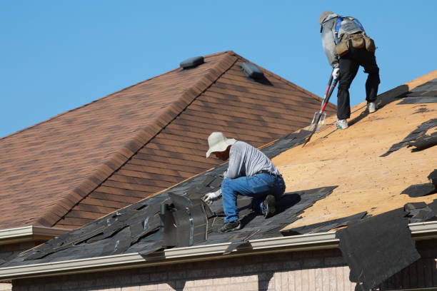 Best Roof Moss and Algae Removal  in Coudersport, PA